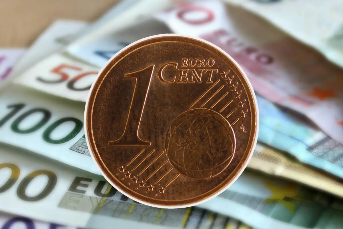 Immagine selezionata