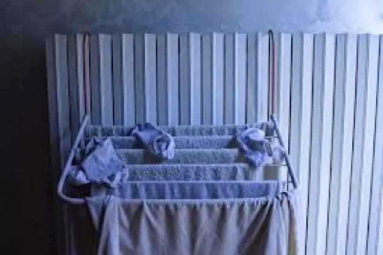 Immagine selezionata