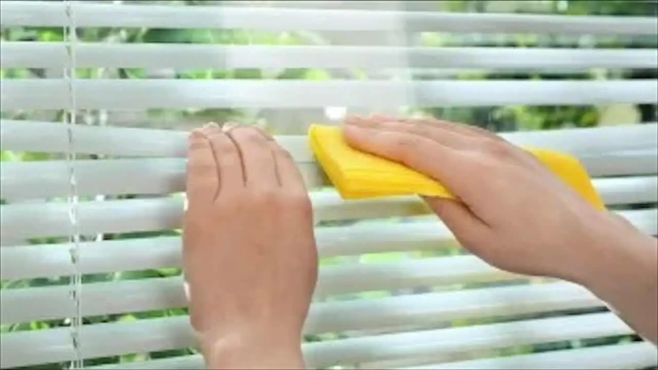 Immagine selezionata